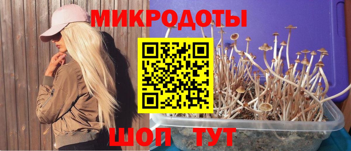 Новокуйбышевск  Псилоцибиновые грибы ЛСД  Вход с VPN  Псилоцибиновые грибы Cubensis 